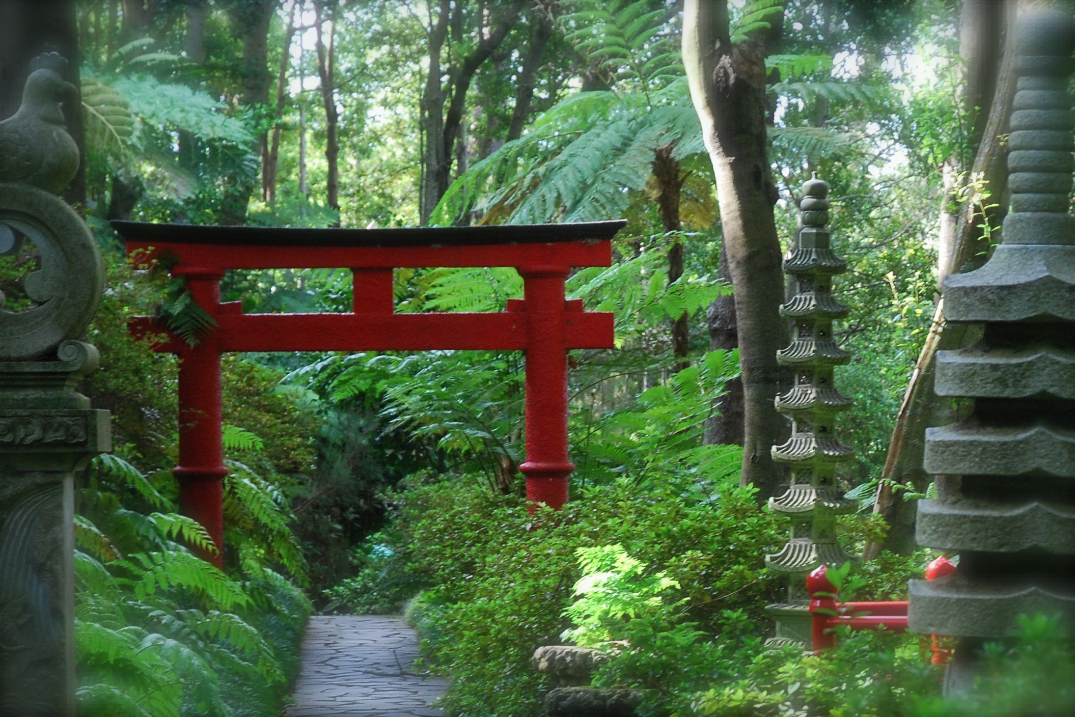 Botanischer Garten, Madeira